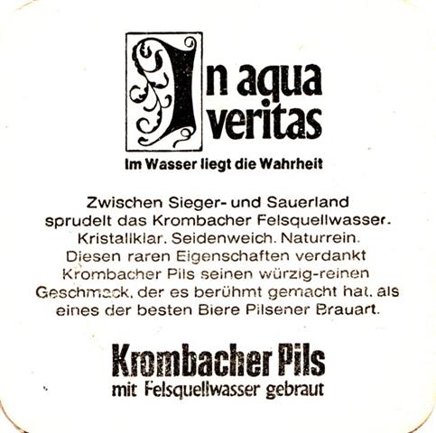 kreuztal si-nw krom felsquell 4-5b (quad185-in aqua veritas-schwarz) 